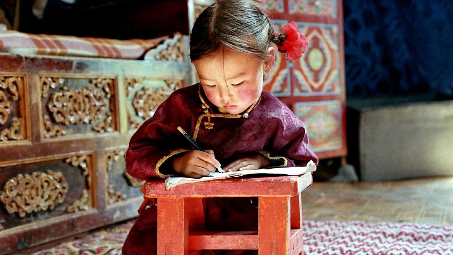 Hang Của Chú Chó Vàng Hang Của Chú Chó Vàng