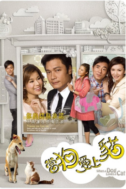 Khi Chó Yêu Mèo