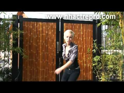 Ái Tại Xuân Thiên Ái Tại Xuân Thiên