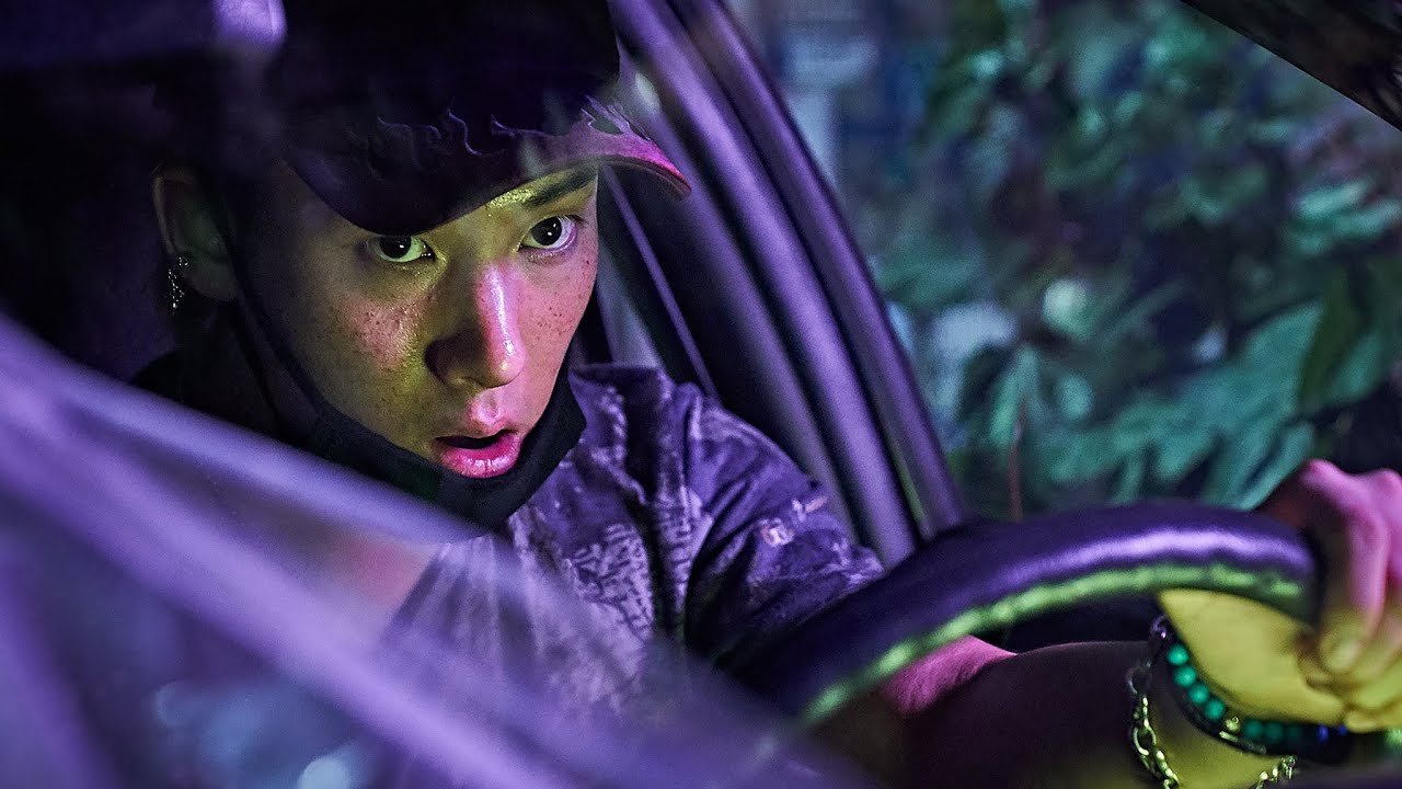 Chó Săn Tiền Chó Săn Tiền