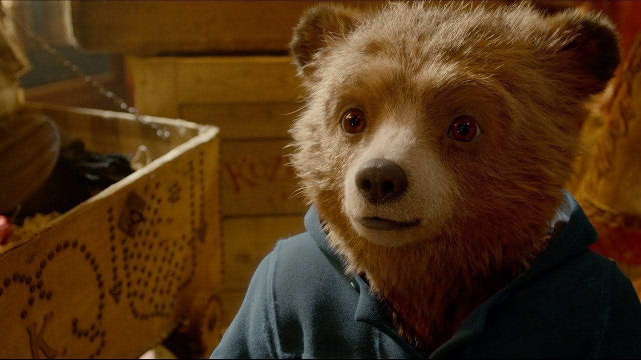 Chú Gấu Paddington 2 Chú Gấu Paddington 2