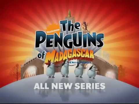 Những Chú Chim Cánh Cụt Đến Từ Madagascar Những Chú Chim Cánh Cụt Đến Từ Madagascar