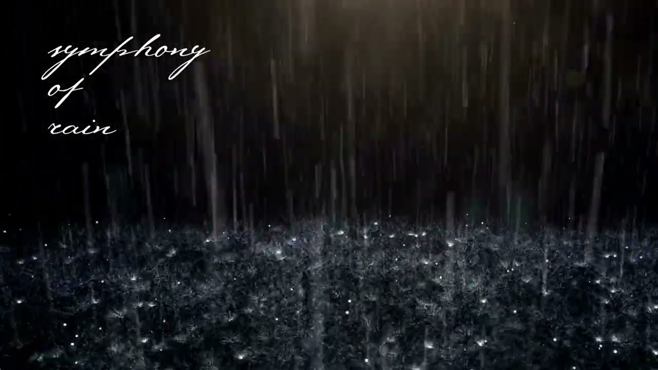 Thượng Hải Ngày Sương Mù Thượng Hải Ngày Sương Mù