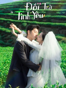 Đồi Trà Tình Yêu