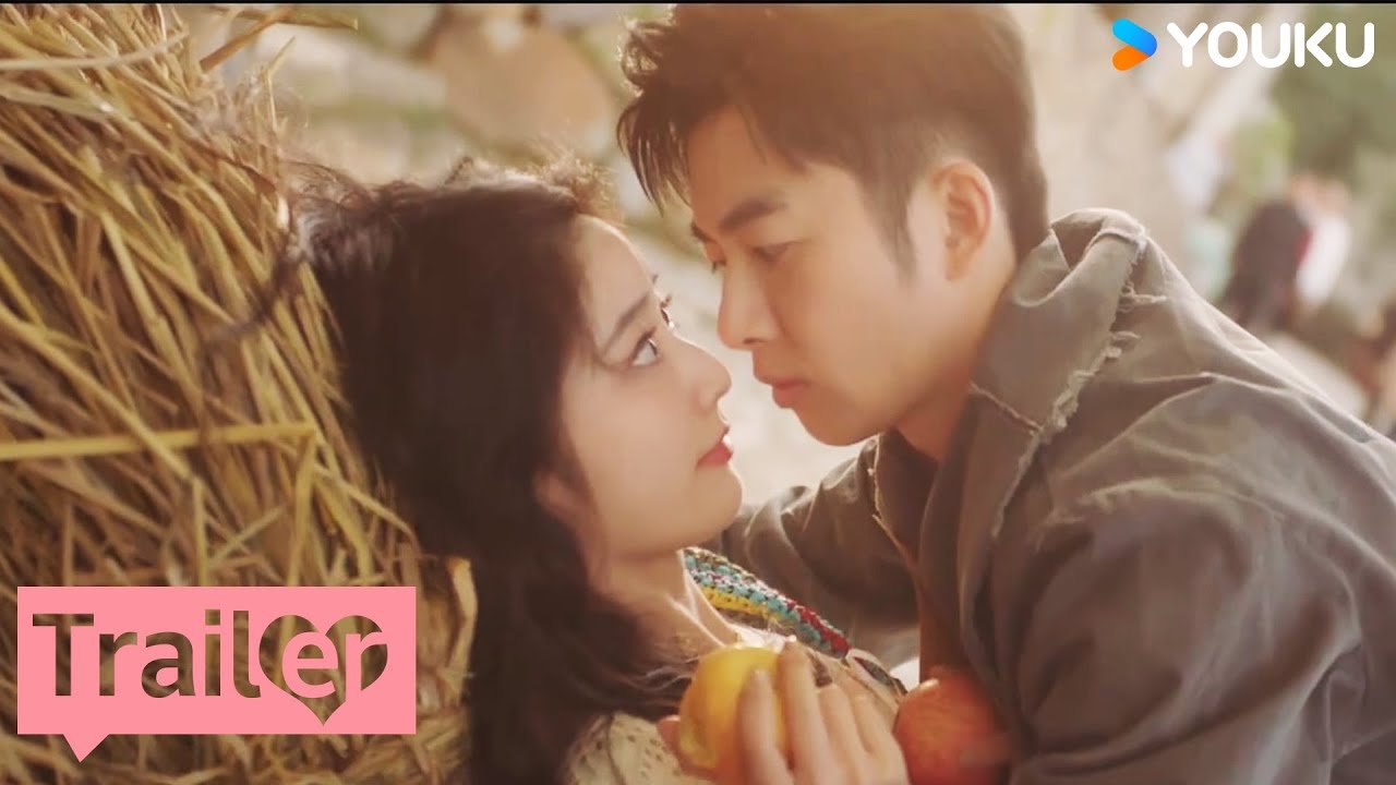 Đồi Trà Tình Yêu Đồi Trà Tình Yêu