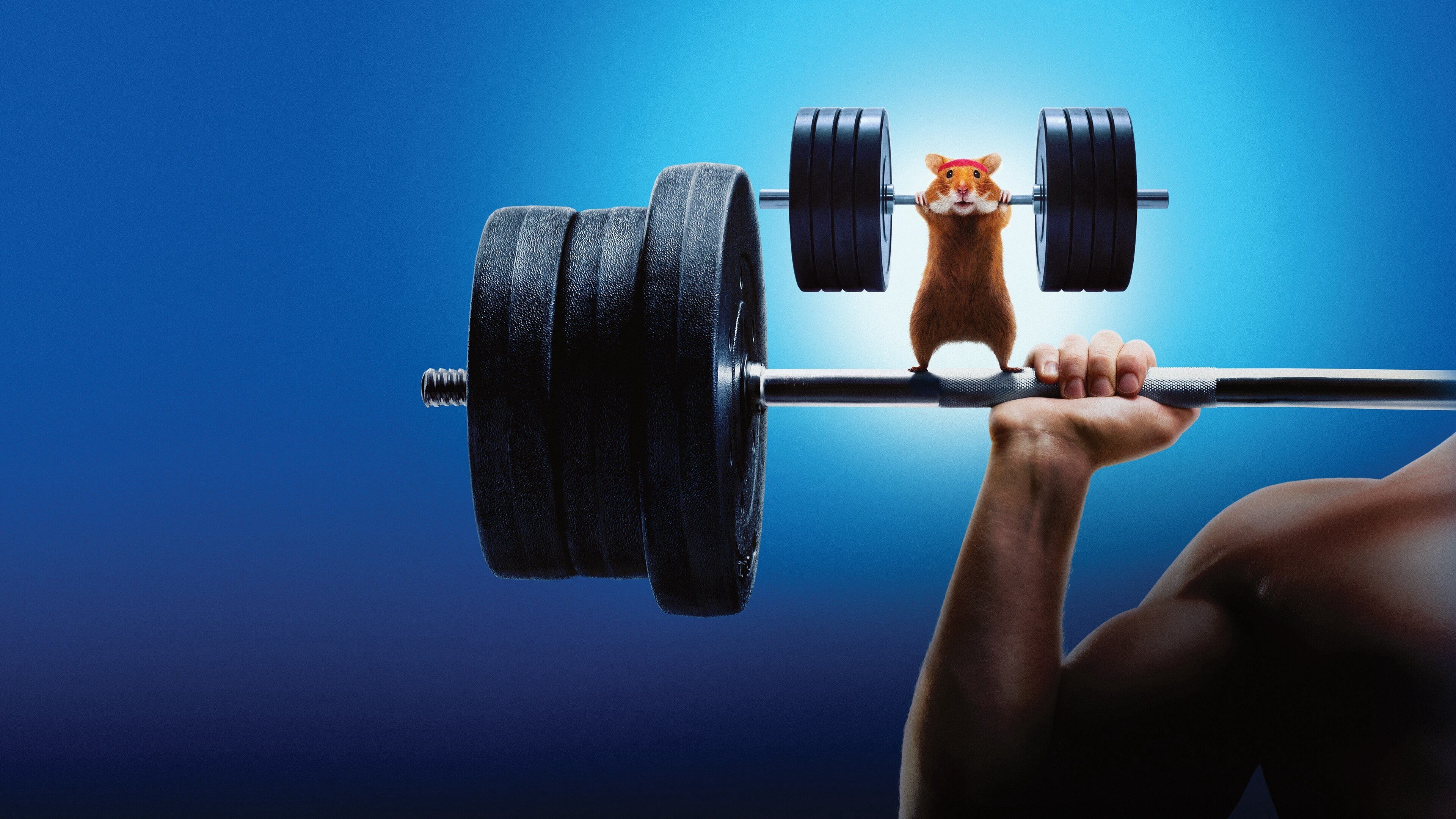 Con Người Đấu Với Hamster Con Người Đấu Với Hamster