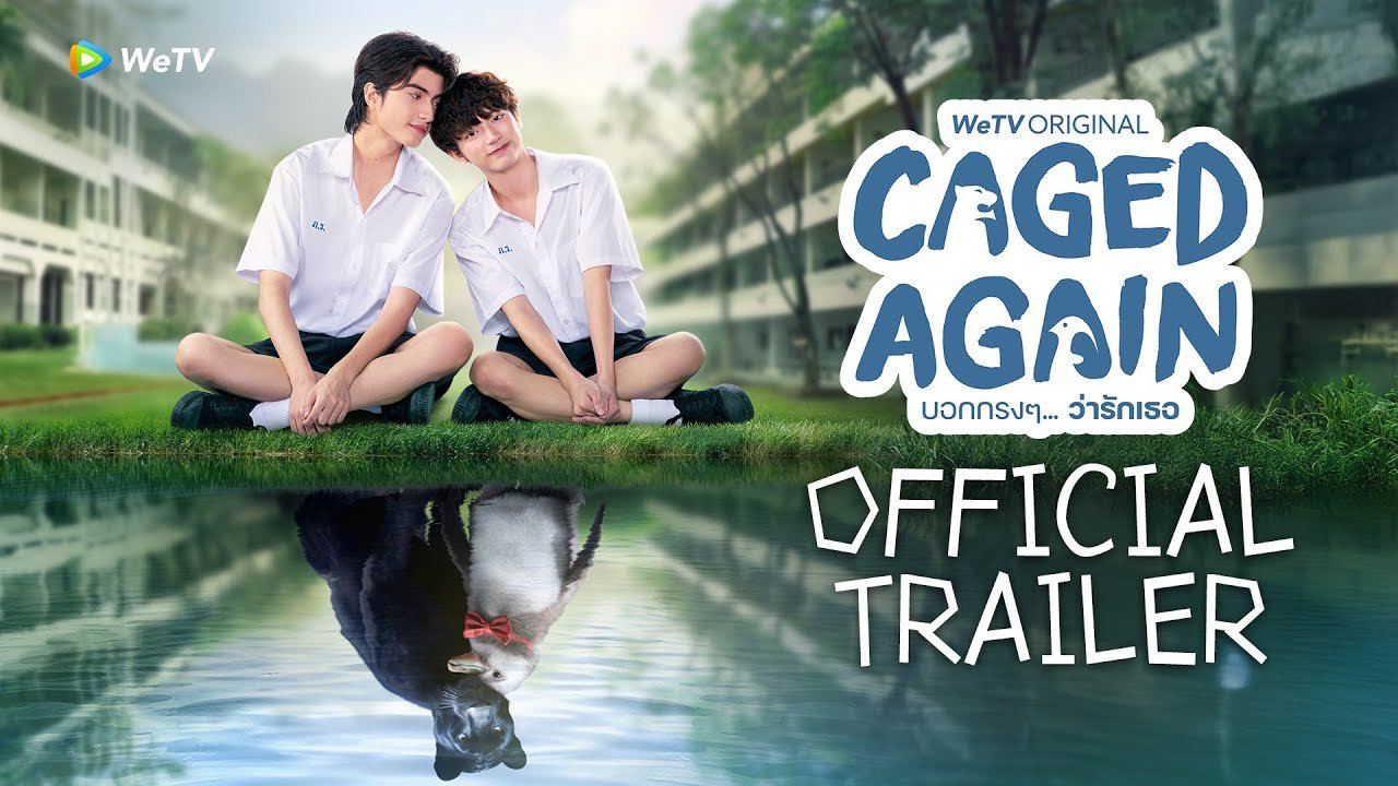 Dũng Cảm Nói Yêu Người Dũng Cảm Nói Yêu Người