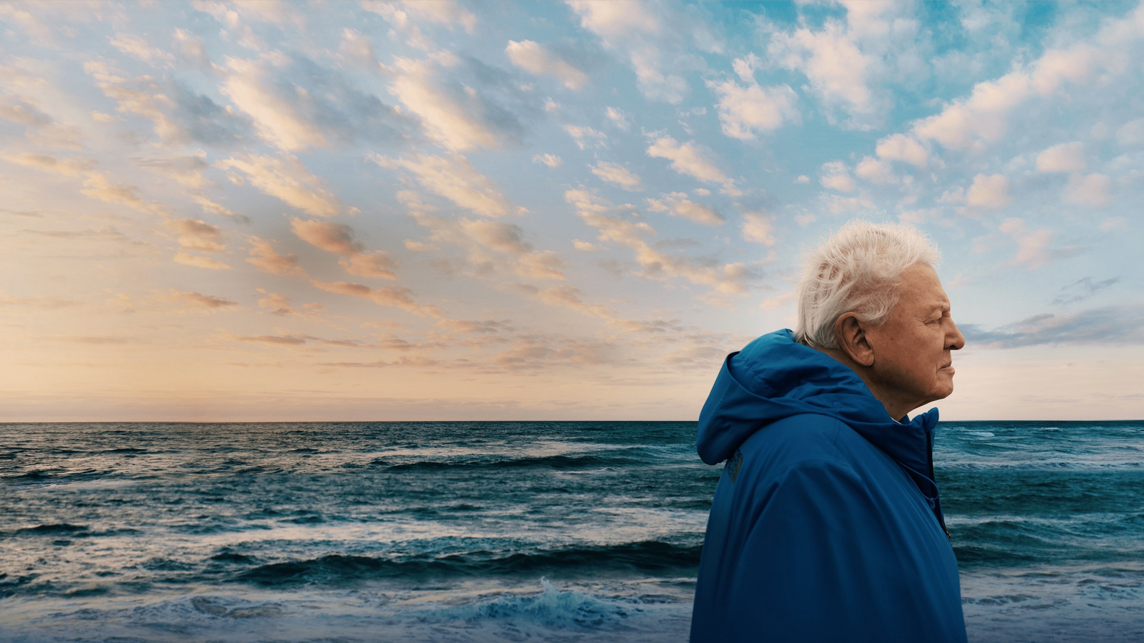 Ocean With David Attenborough Ocean With David Attenborough